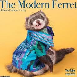 2025 Calendars|Willow Creek 2025 The Modern Ferret 12" x 12" Monthly Wall Calendar (43967)