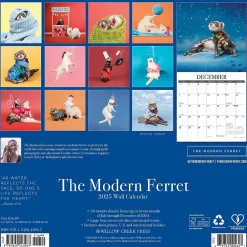 2025 Calendars|Willow Creek 2025 The Modern Ferret 12" x 12" Monthly Wall Calendar (43967)