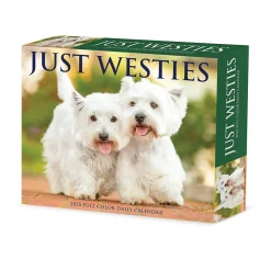 2025 Calendars|Willow Creek 2025 Westies 6" x 5.5" Day-to-Day Calendar (41093)