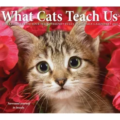 2025 Calendars|Willow Creek 2025 What Cats Teach Us 6