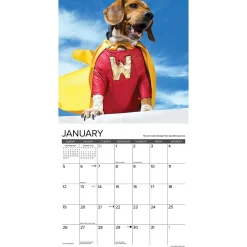 2025 Calendars|Willow Creek 2025 What Dogs Teach Us 12