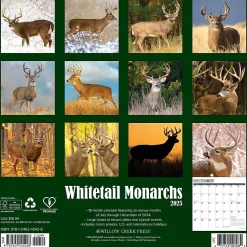 2025 Calendars|Willow Creek 2025 Whitetail Monarchs 12" x 12" Monthly Wall Calendar (45428)