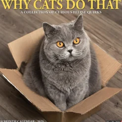 2025 Calendars|Willow Creek 2025 Why Cats Do That 12" x 12" Monthly Wall Calendar (45435)