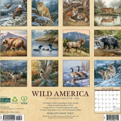 2025 Calendars|Willow Creek 2025 Wild America 12" x 12" Monthly Wall Calendar (45459)