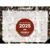 2025 Calendars|Willow Creek 2025 Woodland Mushroom 17" x 12" Monthly Desk Pad Calendar (47866)