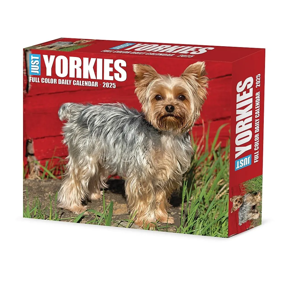 2025 Calendars|Willow Creek 2025 Yorkies 6" x 5.5" Day-to-Day Calendar (41130)