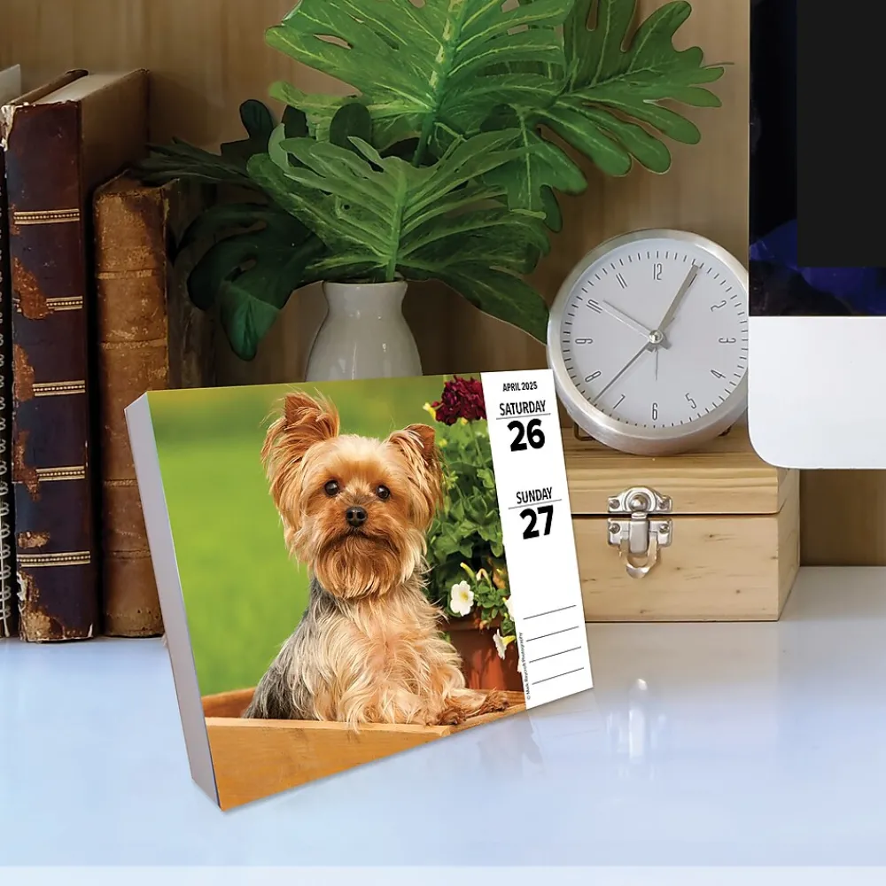 2025 Calendars|Willow Creek 2025 Yorkies 6" x 5.5" Day-to-Day Calendar (41130)