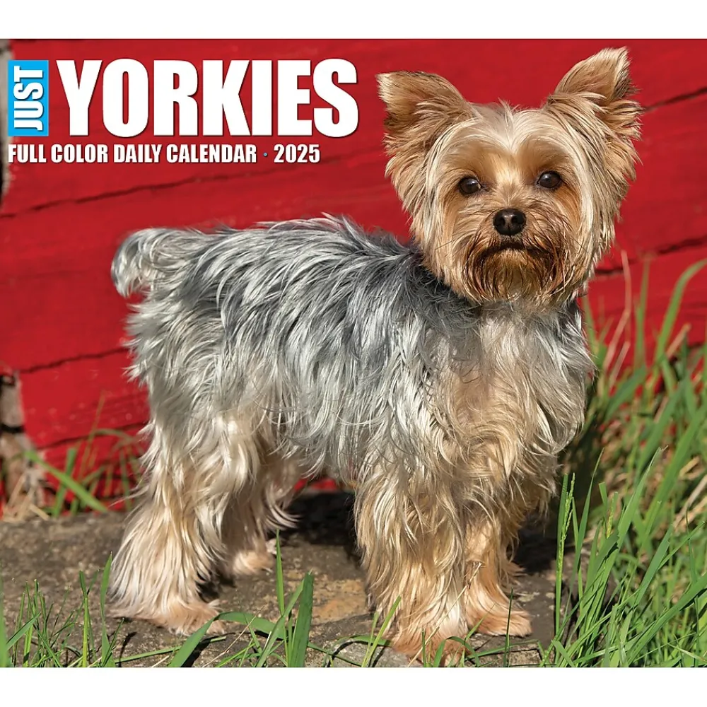 2025 Calendars|Willow Creek 2025 Yorkies 6" x 5.5" Day-to-Day Calendar (41130)