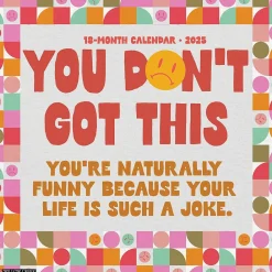 2025 Calendars|Willow Creek 2025 You Don't Got This 12" x 12" Monthly Wall Calendar (45565)