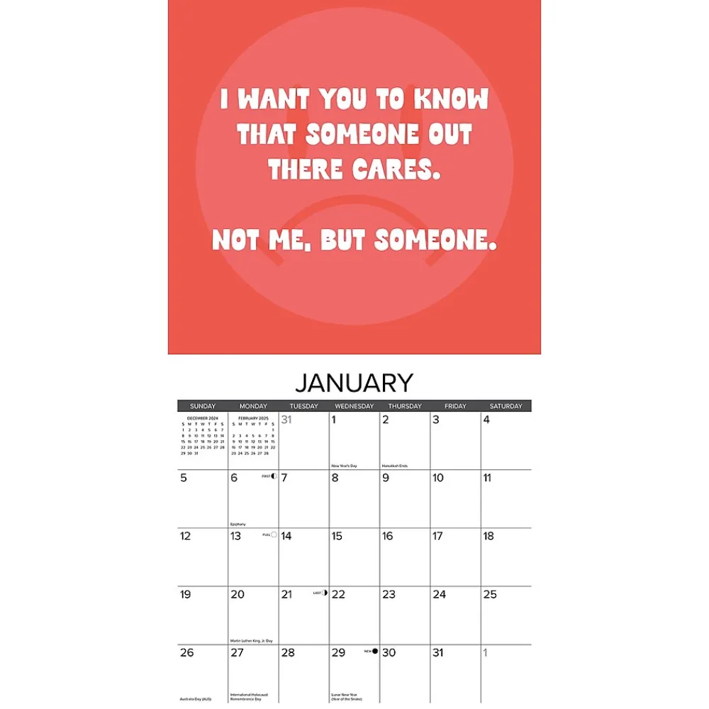 2025 Calendars|Willow Creek 2025 You Don't Got This 12" x 12" Monthly Wall Calendar (45565)