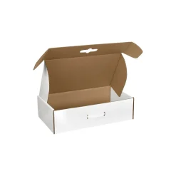 Sale The Packaging Wholesalers 18-1/4" x 11-3/8" x 4-1/2" Carrying Case Mailer with Plastic Handle