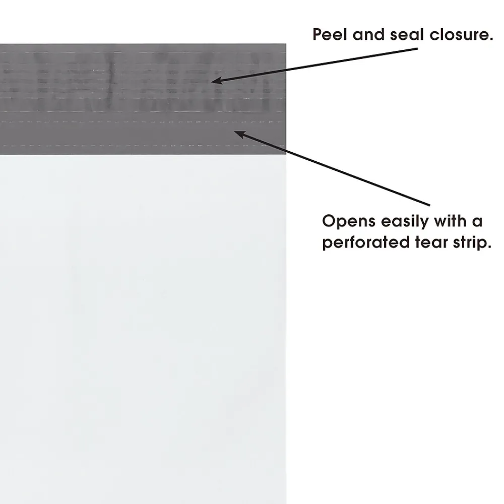 Best SI Products 13" x 16" x 2" Expansion Poly Mailer, 100/Case (EPM13162)