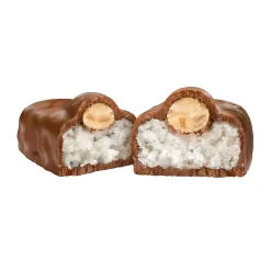 Almond Joy Snack Size Milk Chocolate Candy Bar, 20.1 oz., 2/Pack (246-00348)