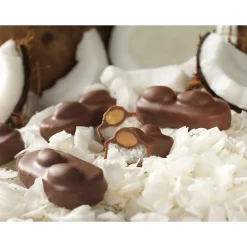 Almond Joy Snack Size Milk Chocolate Candy Bar, 20.1 oz., 2/Pack (246-00348)