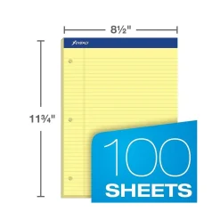 Notepads|Ampad Double-Sheet Notepad, 8.5
