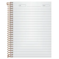 Notebooks|Ampad 1-Subject Professional Notebooks, 5