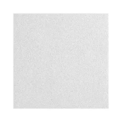 Armstrong CALLA Lay-In Square Edge Ceiling Tile, 24" x 60", White, 8/Carton (BP2857)