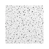 Armstrong CERAMAGUARD Fine Fissured Square Edge Ceiling Tile, 24" x 48", White, 6/Carton (BP608A)