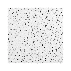 Armstrong CERAMAGUARD Fine Fissured Square Lay-In Edge Ceiling Tile, 24" x 24", White, 12/Carton (BP607A)