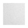Armstrong CERAMAGUARD Square Edge Ceiling Tile, 24" x 48", White, 6/Carton (BP605C)