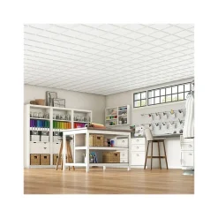 Armstrong CIRRUS Profiles Classic Step Tegular Edge Ceiling Tile, 24" x 24", White, Dozen (BP626A)