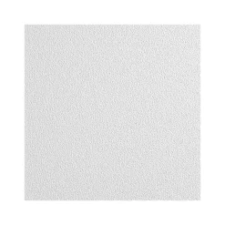 Armstrong CLEAN ROOM VL Square Lay-In Edge Ceiling Tile, 24" x 48", White, 8/Carton (BP870B)