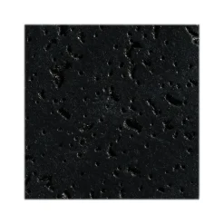 Armstrong CORTEGA Square Lay-In Edge Ceiling Tile, 24" x 48", Tech Black, 12/Carton (BP769ABL)