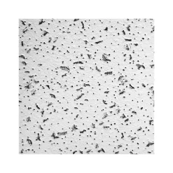 Armstrong CORTEGA Square Lay-In Edge Ceiling Tile, 24" x 48", White, 12/Carton (BP769A)