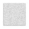 Armstrong CORTEGA Tegular Edge Ceiling Tile, 24" x 24", White, 16/Carton (BP704A)