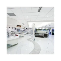 Armstrong DUNE Second Look Angled Tegular Edge Ceiling Tile, 24" x 48", White, 10/Carton (BP2711A)