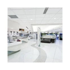 Armstrong DUNE Second Look Tegular Edge Ceiling Tile, 24