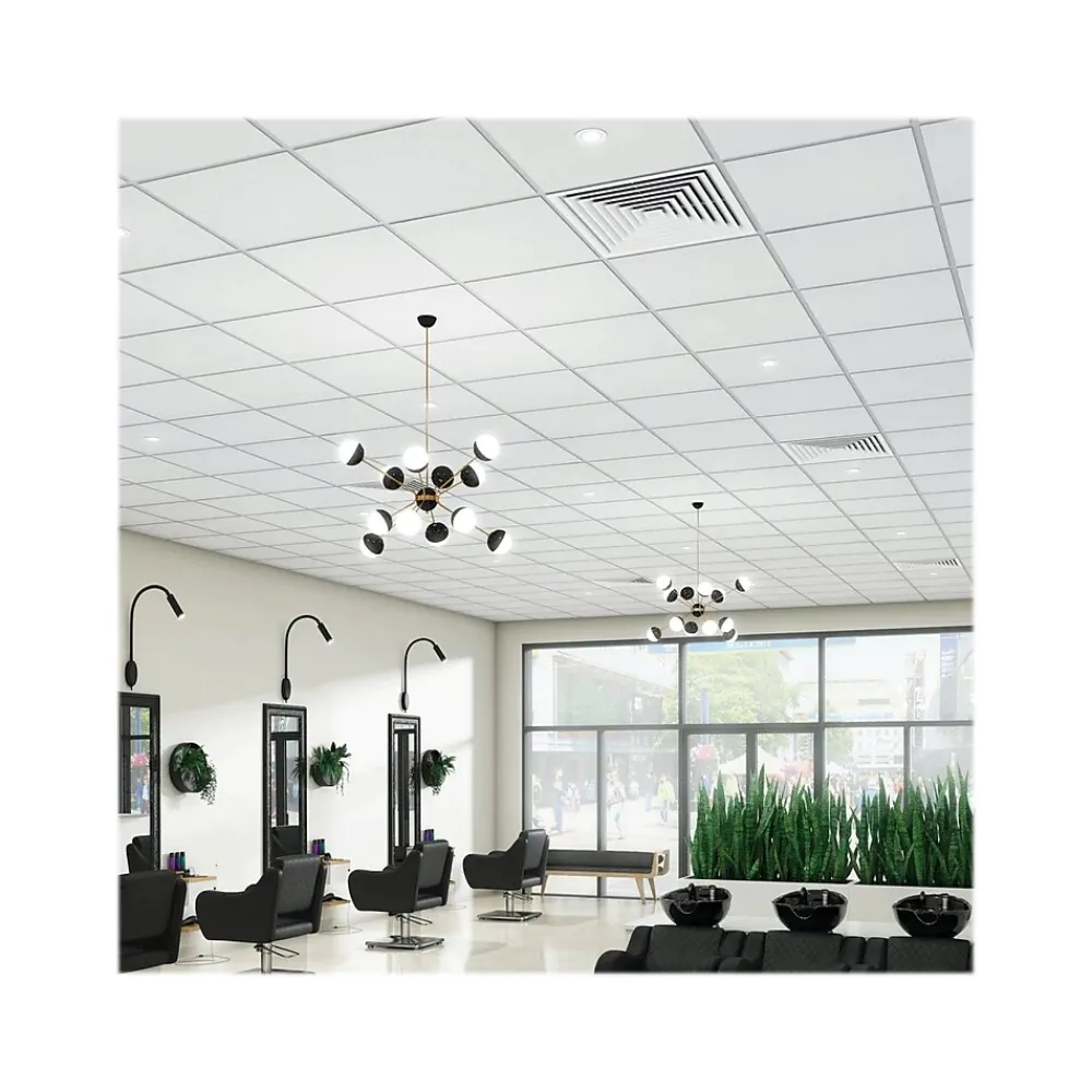 Armstrong DUNE Tegular Edge Ceiling Tile 15/16, 24" x 24", White, 16/Carton (BP1774)