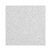 Armstrong DUNE Tegular Edge Ceiling Tile, 24" x 48", White, 8/Carton (BP1776A)