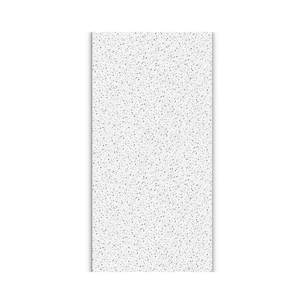 Armstrong FINE FISSURED Square Lay-In Edge Ceiling Tile, 24" x 48", White, 12/Carton (BP1729A)