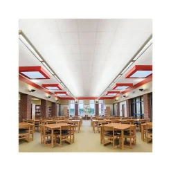 Armstrong FINE FISSURED Square Lay-In Edge Ceiling Tile, 24