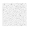 Armstrong FINE FISSURED Square Lay-In Edge Ceiling Tile, 24" x 24", White, 12/Carton (BP1713)
