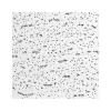 Armstrong FISSURED Square Lay-In Edge Ceiling Tile, 24" x 48", White, 6/Carton (BP895A)