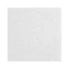 Armstrong LYRA Plant-Based Square Tegular Ceiling Tile 9/16, 24" x 48", White, 12/Carton (BP8357PB)