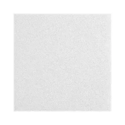 Armstrong LYRA Plant-Based Square Tegular Edge Ceiling Tile 15/16, 24" x 24", White, 12/Carton (BP8360EPB)
