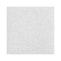 Armstrong OPTIMA Square Tegular Edge Ceiling Tile, 24" x 48", White, 12/Carton (BP3257A)