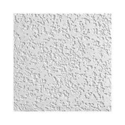 Armstrong RANDOM FISSURED Square Lay-In Edge Perforated Ceiling Tile, 24" x 48", White, 16/Carton (BP2910A)