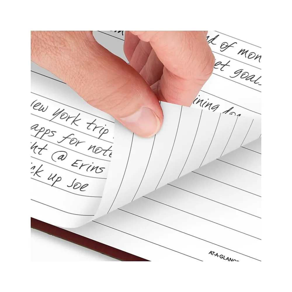 Journals|AT-A-GLANCE Standard Hardcover 2025 Daily Diary, 7.75" x 12", Ruled, Red (SD376-13-25)