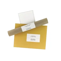 Labels|Avery Computer Labels, Dot Matrix Labels and Pin-Feed Labels, 2-15/16" x 5", White, 3,000 Labels/Pack (4076)