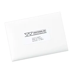 New Avery Copier Shipping Labels, 2" x 4-1/4", Matte White, 1000 Labels/Box (5352)