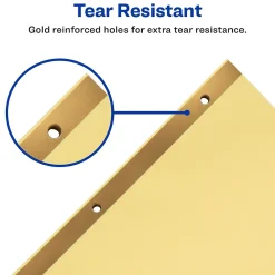 Dividers|Avery Pre-Printed Paper Dividers with Laminated Tabs, Jan-Dec Tabs, Buff, Gold Reinforced (11307)