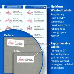 Avery Repositionable Inkjet Shipping Labels, 2" x 4", White, 250 Labels/Pack (58163)