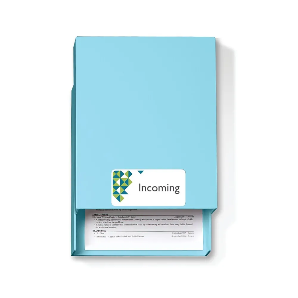 Avery Repositionable Inkjet Shipping Labels, 2" x 4", White, 250 Labels/Pack (58163)