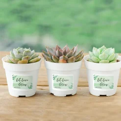 Labels|Avery Sure Feed Laser/Inkjet Durable ID Labels, 2