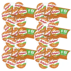 Babybel Gouda Cheese, 6/Pack (600-00230)