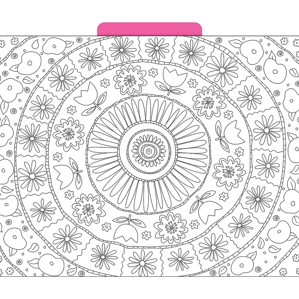 File Folders|Barker Creek Color Me! File Folder Set, 1/3-Cut Tab, Letter Size, In My Garden, 12/Pack (2008)